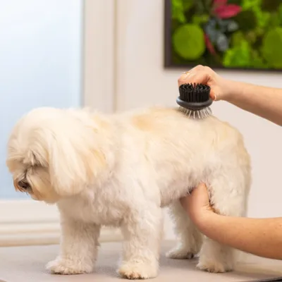 WAHL® Beidseitige Fellpflegebürste WAHL® Beidseitige Fellpflegebürste