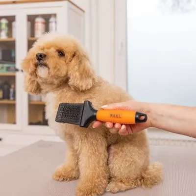 Spazzola doppia WAHL® Premium a setole flessibili