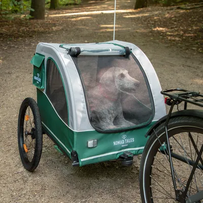 Grüner Fahrradanhänger Nomad Tales mit Netzabdeckung, Hund sitzt darin. Geeignet für den Transport von Haustieren.