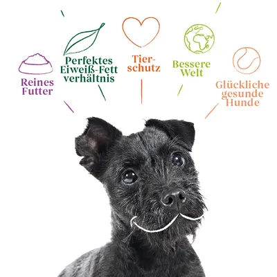 Reines Futter, perfektes Eiweiß-Fett-Verhältnis, Tierschutz, bessere Welt, glückliche gesunde Hunde. Schwarzer Hund mit weißem Schnurrbart darunter.