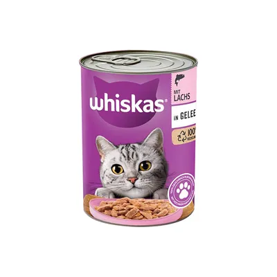 Whiskas konzerva za mačke z lososom v želeju, 100% reciklirana, okus lososa. Prikazana: siva mačka in koščki hrane v rožnati posodi.