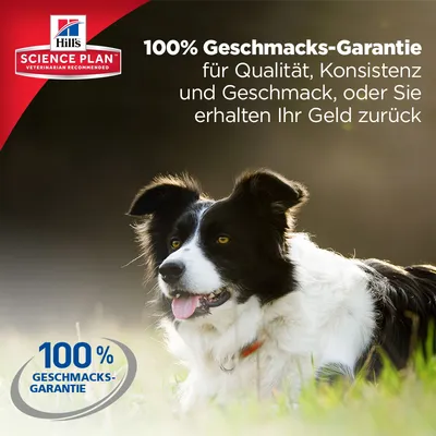 Texte en allemand : 100% Geschmacks-Garantie für Qualität, Konsistenz und Geschmack, oder Sie erhalten Ihr Geld zurück. Hill's Science Plan. 100% Geschmacks-Garantie.