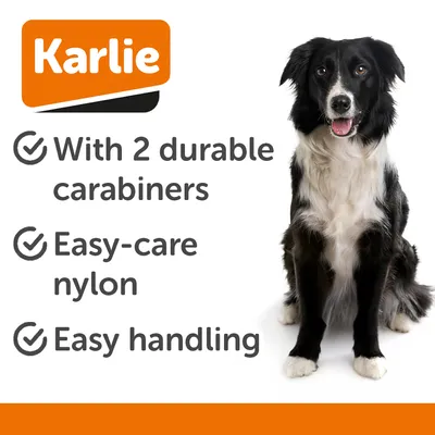 Spojovací vodítko Art Sportiv Plus