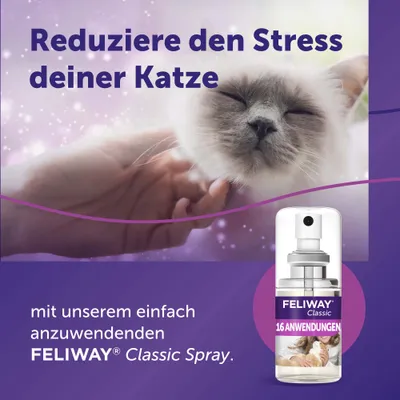 FELIWAY Classic Spray, 20 ml