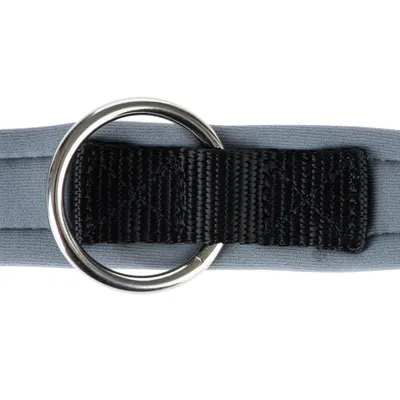 Detailaufnahme eines grauen Halsbands mit schwarzem Nylonband und silbernem Metallring.