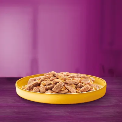 Chunks of brown pet food served in a round yellow bowl on a purple surface, no visible brand or text.
