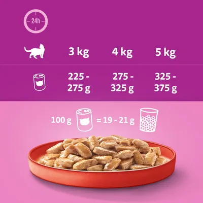 Etetési útmutató macskáknak: 3 kg 225–275 g, 4 kg 275–325 g, 5 kg 325–375 g. 100 g nedves eledel = 19–21 g száraztáp.