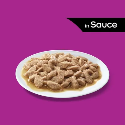 Porcija komadića hrane u umaku na bijelom tanjuru, tekst 'in Sauce' u gornjem desnom kutu na crnoj traci.