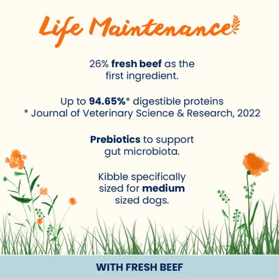Almo Nature Life Maintenance Large Adult Beef & Rice Almo Nature Life Maintenance Large Adult Beef & Rice