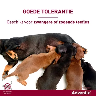 GOEDE TOLERANTIE. Geschikt voor zwangere of zogende teefjes. Niet gebruiken voor katten. Advantix.