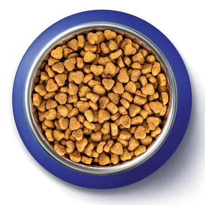 Gamelle en métal avec croquettes marron, vue du dessus. Aucun texte ou marque visible sur la gamelle ou les croquettes.