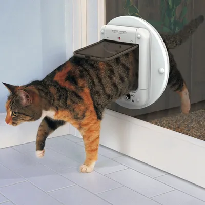 Mačka prehaja skozi okroglo mačje vratca Cat Mate, nameščena v steklena vrata. Vidna sta izhod in del notranjosti prostora.