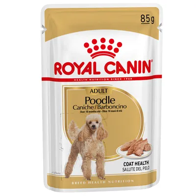 Plic hrană umedă Royal Canin Adult Poodle 85 g, pentru câini peste 10 luni. Text vizibil: Coat Health, Caniche/Barboncino, imagine pudel și hrană pe farfurie.