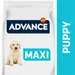 Advance Maxi Puppy Protect pennuille