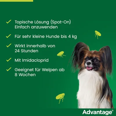 Advantage Spot-On Lösung für sehr kleine Hunde bis 4 kg. Wirkt innerhalb von 24 Stunden, mit Imidacloprid, geeignet für Welpen ab 8 Wochen. Einfach anzuwenden.