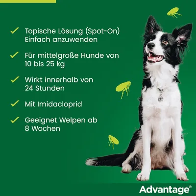 Advantage Spot-On Lösung für mittelgroße Hunde von 10 bis 25 kg. Wirkt innerhalb von 24 Stunden, mit Imidacloprid. Geeignet für Welpen ab 8 Wochen.