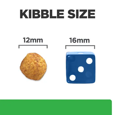 Kibble size comparison showing a 12mm round kibble next to a 16mm blue dice for scale.