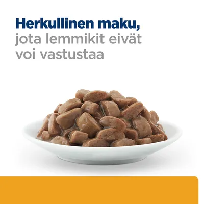 Herkullinen maku, jota lemmikit eivät voi vastustaa. Valkoisella lautasella ruskeita kastikkeessa olevia paloja, ylhäällä mainosteksti näkyvissä.