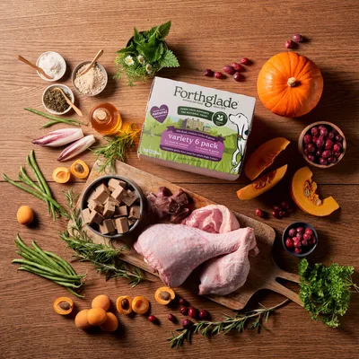 Forthglade Variety 6 Pack box surrounded by raw turkey, meat cubes, pumpkin, green beans, apricots, cranberries, herbs and oil, showing natural ingredients used in the product.