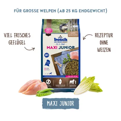 bosch Maxi Junior für große Welpen ab 25 kg Endgewicht, viel frisches Geflügel, Rezeptur ohne Weizen, Abbildung von Futter und Zutaten. bosch Maxi Junior für große Welpen ab 25 kg Endgewicht, viel frisches Geflügel, Rezeptur ohne Weizen, Abbildung von Futter und Zutaten.