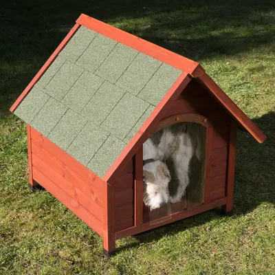 Caseta de madera para perro con techo a dos aguas y puerta de láminas transparentes. Perro blanco y marrón visible en el interior. Suelo de césped.