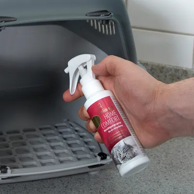 Spray apaisant Felisept Home Comfort, flacon avec pulvérisateur, étiquette rouge et photo de chat, tenu devant une caisse de transport pour animaux.