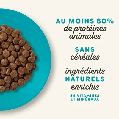 Applaws Adult, poisson de mer, saumon pour chat