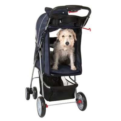 Chien assis dans une poussette pour animaux à quatre roues, structure en métal et tissu, panier de rangement sous le siège, porte-gobelets sur la poignée.