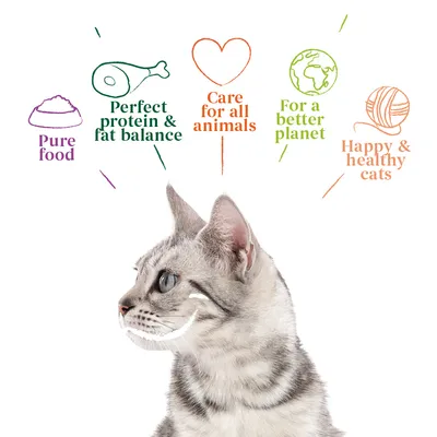 Image with text: Pure food, Perfect protein & fat balance, Care for all animals, For a better planet, Happy & healthy cats. Cat shown below these product benefits.