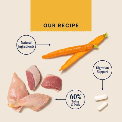 Pooch and Mutt Wet Dog Food - Turkey & Duck