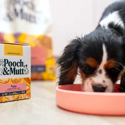 Pooch and Mutt Wet Puppy Food - Chicken & Vegetables