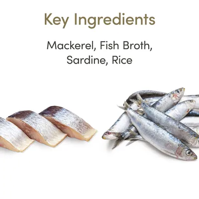 Key Ingredients: Mackerel, Fish Broth, Sardine, Rice. Текст на английском языке с изображением кусков макрели и целых сардин.