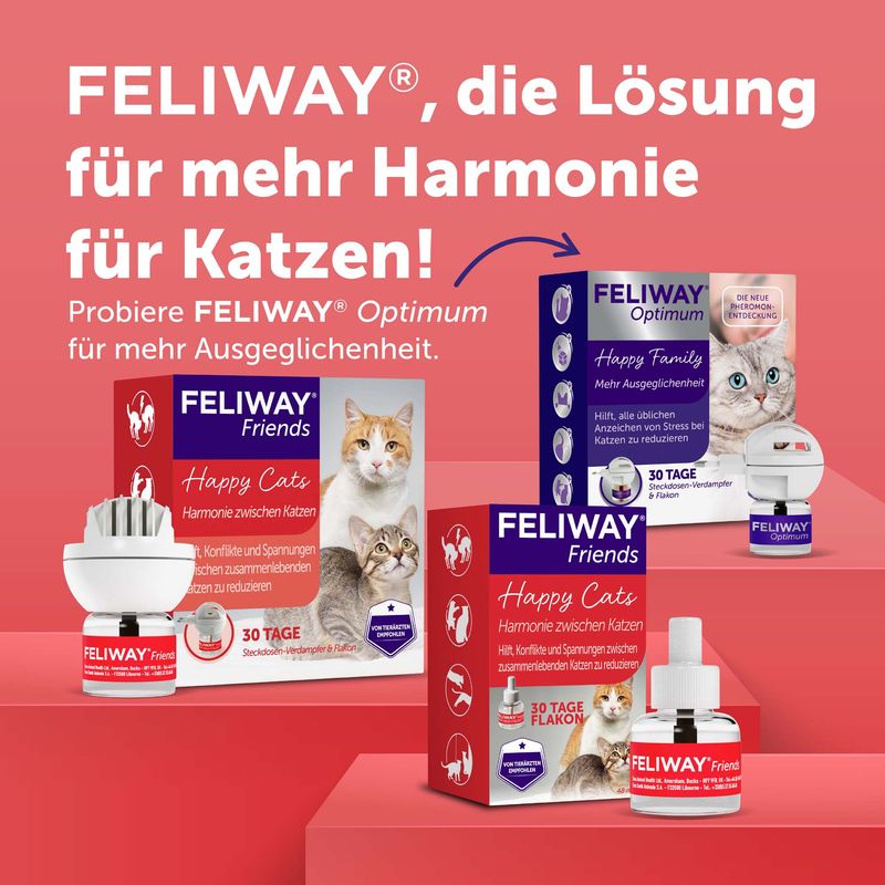 Nachfüllflakons für FELIWAY Friends