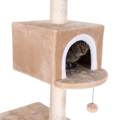 Krabpaal met beige pluche huisje, sisal krabstam en hangend pluchen balletje; kat zit in het huisje.