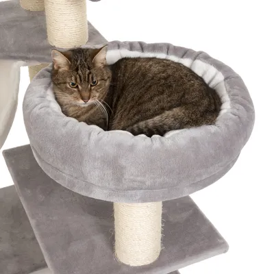 Grauer Kratzbaum mit gepolsterter Liegefläche, darauf eine Katze liegend. Sisal umwickelte Säule sichtbar.