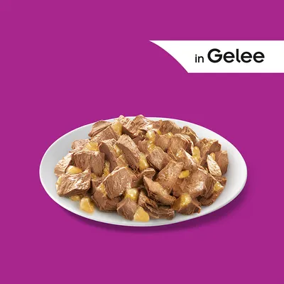 Porce masových kousků v želé na bílém talíři, v pravém horním rohu text: in Gelee