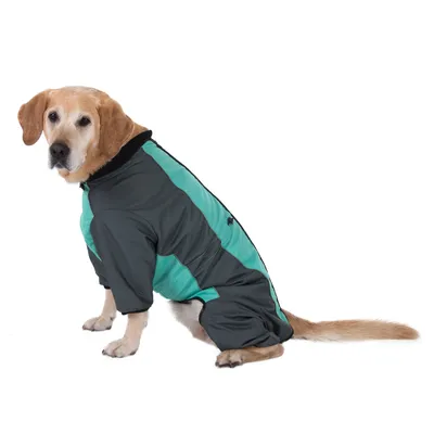 Cane con tuta intera grigio-turchese con cerniera e polsini elastici, adatta per la protezione dalle intemperie.