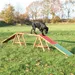 Rampe Trixie Dog Activity Agility pour chien