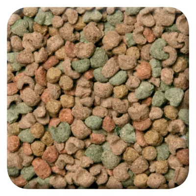 Close-up van gemengd droogvoer met kleine brokjes in beige, groen en oranje tinten. Geen merknaam of tekst zichtbaar.