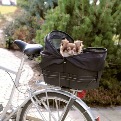 Fahrradkorb aus schwarzem Stoff mit Netzabdeckung, montiert auf einem Fahrradträger. Kleiner Hund sitzt im Korb und schaut heraus.