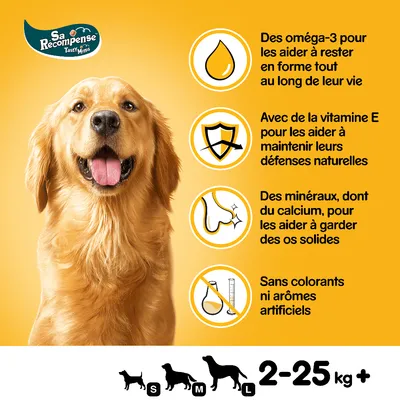 Sa Récompense Tasty Minis, pour chiens 2–25 kg+, oméga-3, vitamine E, minéraux dont calcium, sans colorants ni arômes artificiels. Convient aux tailles S à L.