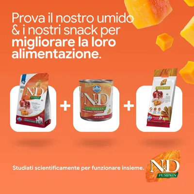 N&D Pumpkin crocchette, alimento umido e dental treats. Sviluppato per migliorare la nutrizione. Studiato scientificamente per un effetto combinato.