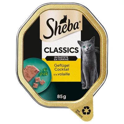 Sheba Classics in Pastete en Terrine, poultry cocktail à la volaille, 85 g. Packaging with image of a grey cat and served pâté on a plate.