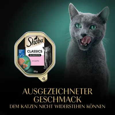 Sheba Classics in Pastete mit Lachs, 85g. Ausgezeichneter Geschmack, dem Katzen nicht widerstehen können.