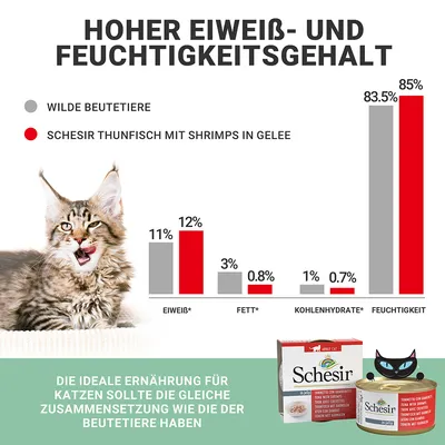 Primerjava hranilnih vrednosti: Schesir Tuna s kozicami v želeju ima višjo vsebnost beljakovin (12 %) in vlage (85 %) kot divji plen. Priporočena prehrana za mačke.