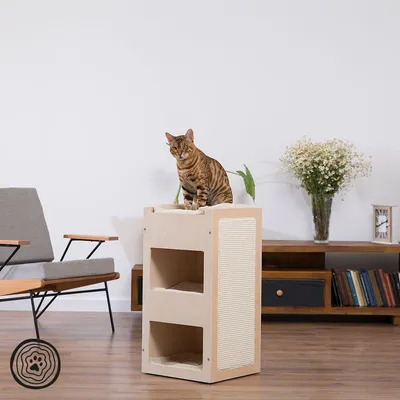 Tiragraffi in legno chiaro con due nicchie e superficie laterale in corda, gatto seduto sulla parte superiore imbottita. Arredo moderno visibile sullo sfondo.