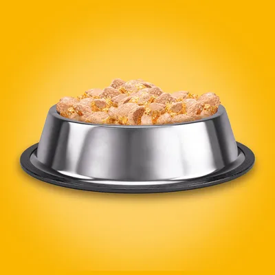 Metalskål med tørfoder og geléfyld, set forfra mod gul baggrund. Skålen har sort gummibund.