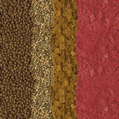 Четири различни вида храна за домашни любимци, подредени вертикално: кафяви гранули, смес от зърна и листа, жълти люспи и червени люспи.