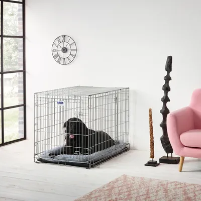 Hund in einem Savic Metallkäfig mit grauer Matte, geeignet für den Innenbereich. Käfig steht in modernem Raum mit rosa Sessel und dekorativen Elementen.