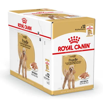 Опаковка Royal Canin Adult Poodle, 12 х 85 г паучове. Изображение на пудел и порция храна. Видим текст: Coat Health, Caniche/Barboncino, Over 10 months old.